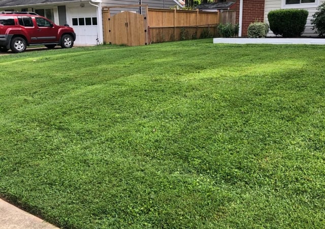 Springfield Va Lawn Care Lawn Mowing From 19 Lawnstarter