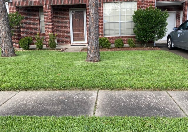 1 Sugar Land Tx Lawn Care Service Lawn Mowing From 19 Best 2020