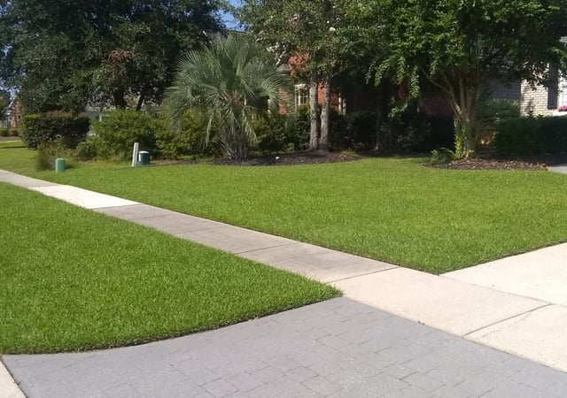 Tampa Fl Lawn Care Service Lawn Mowing From 19 Lawnstarter