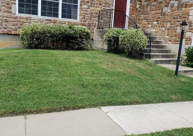 1 Washington Dc Lawn Care Service Lawn Mowing From 19 Best 2020
