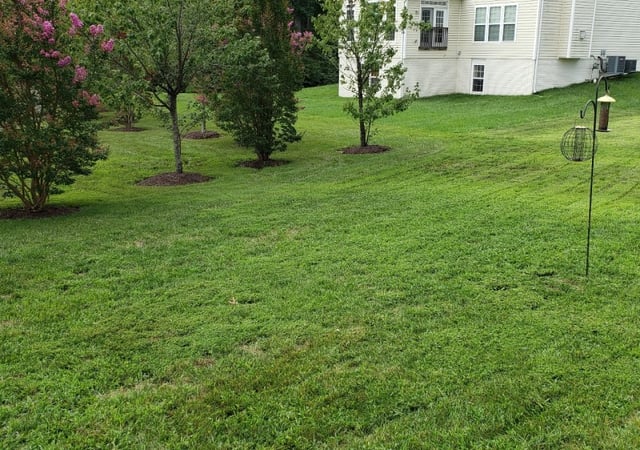 1 Woodbridge Va Lawn Care Service Lawn Mowing From 19 Best 2020