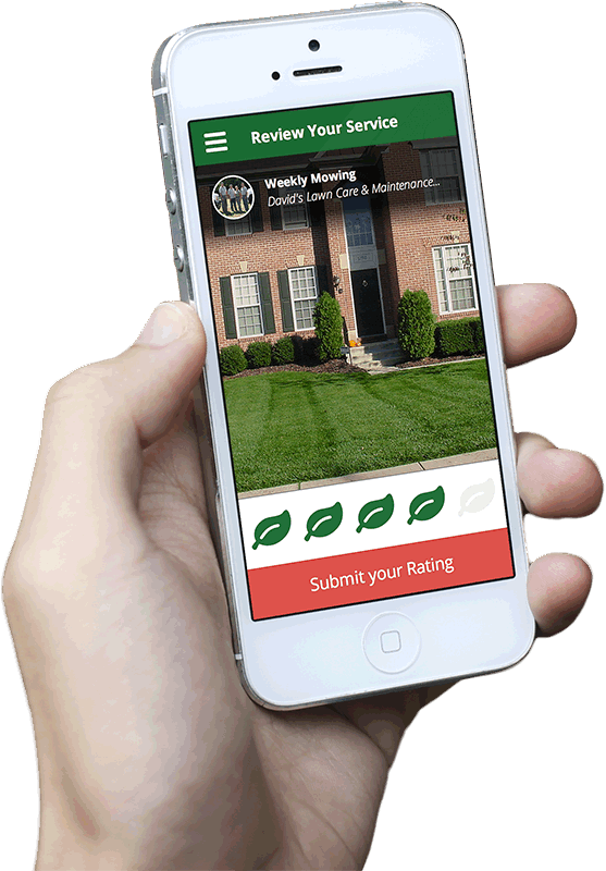 The Great American City of San Antonio