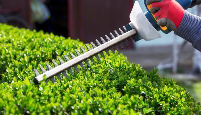 Bush Trimming