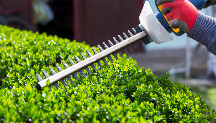 Bush Trimming