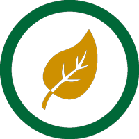 seasonality icon